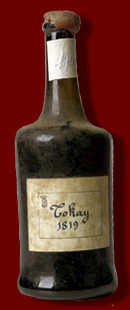 Tokay 1819